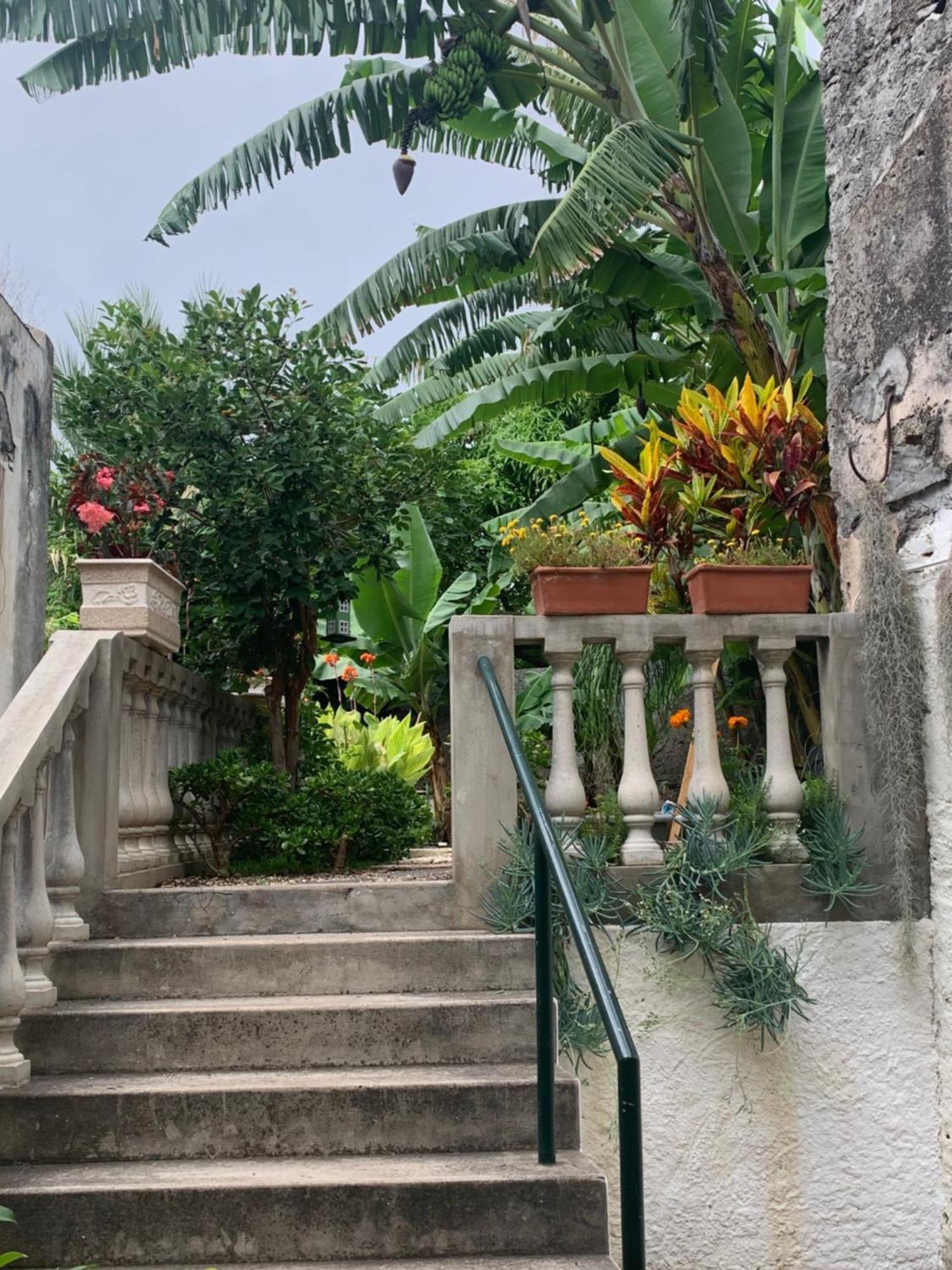 Vitorina Corte Guesthouse ฟุงชาล ภายนอก รูปภาพ